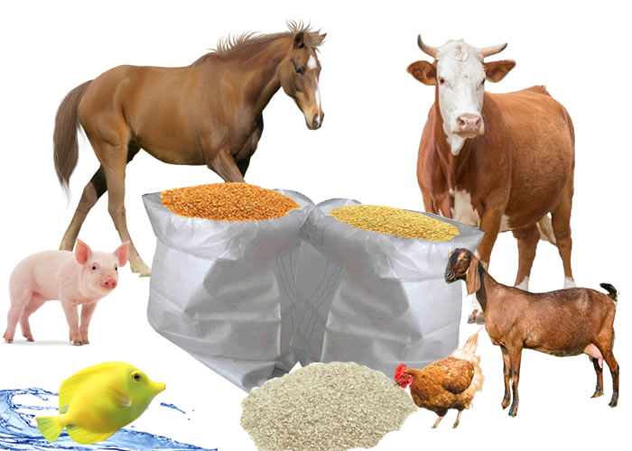 White tea extract powder manufacturer White tea extract powder manufacturer