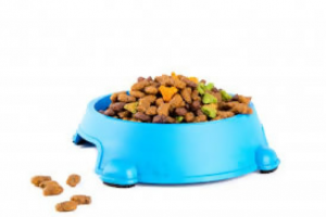 Contract Manufacturing Pet Food