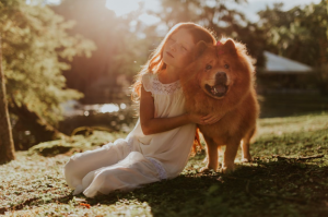 Best Pet Health Supplements USA