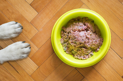 Best Dog Food Manufacturing Process