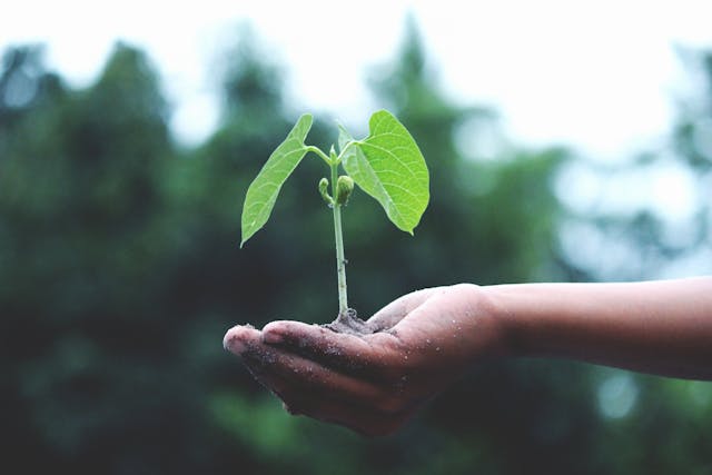 Sustainable Practices in Animal Product Manufacturing