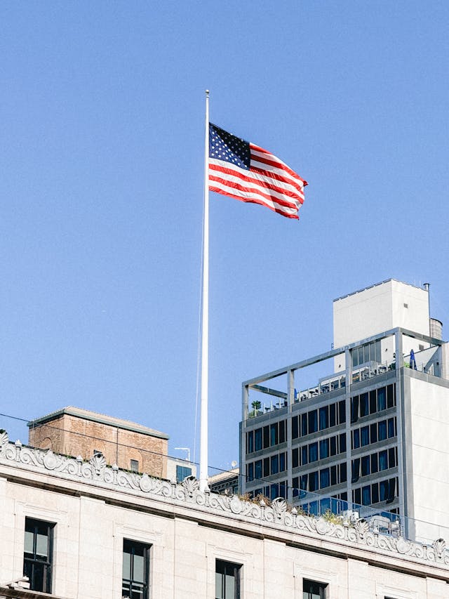 Made in the USA Why USA Contract Manufacturer for Pet Products Is More Important Than Ever